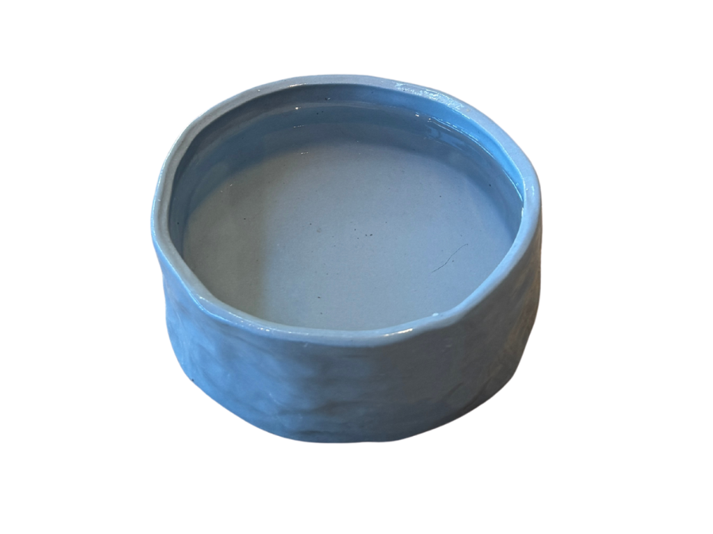 Dog Bowl