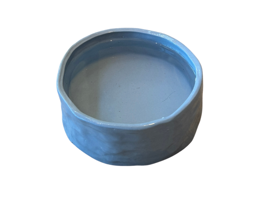 Dog Bowl